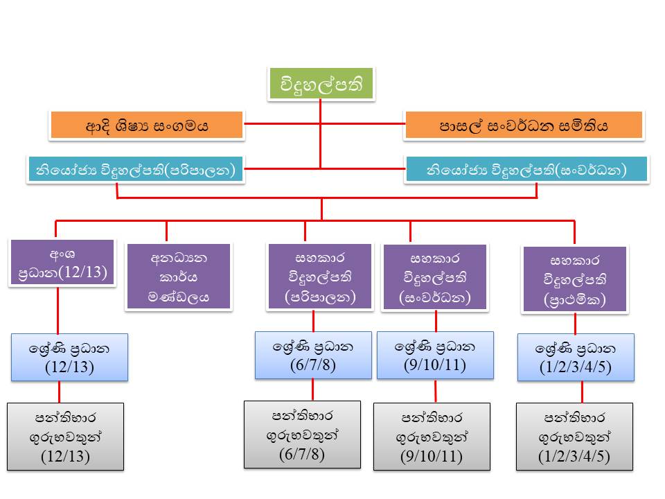 Management Structure  (Sample)